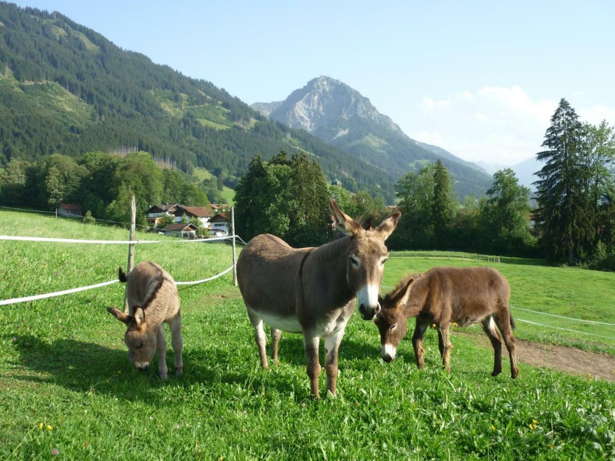 Ferienhof Alfred Albrecht Oberstdorf Exterior foto